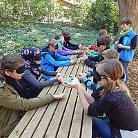 Auch der Wald wird für die Schülerinnen und Schüler der Tertia zum Lernort. 