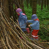 Wir entdecken den Wald mit allen Sinnen. 