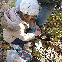 Von der Blumenzwiebel bis zur Tulpe - in unserem Garten können wir alle Schritte beobachten. 